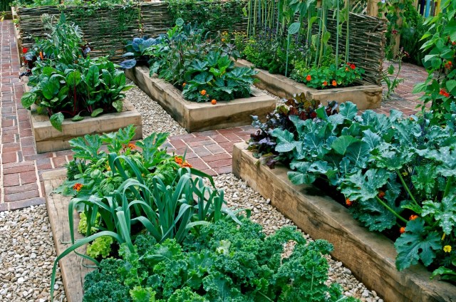 Organic Gardening Techniques for a Thriving Vegetable Garden in the Midwest