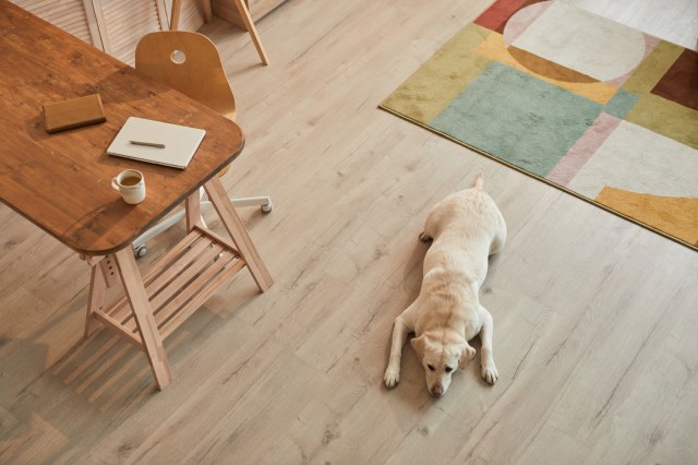 Style Meets Function: Discover the Best Rugs for Homes with Pets and Kids