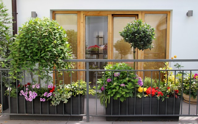 How to Choose the Perfect Decorative Planters for Any Environment